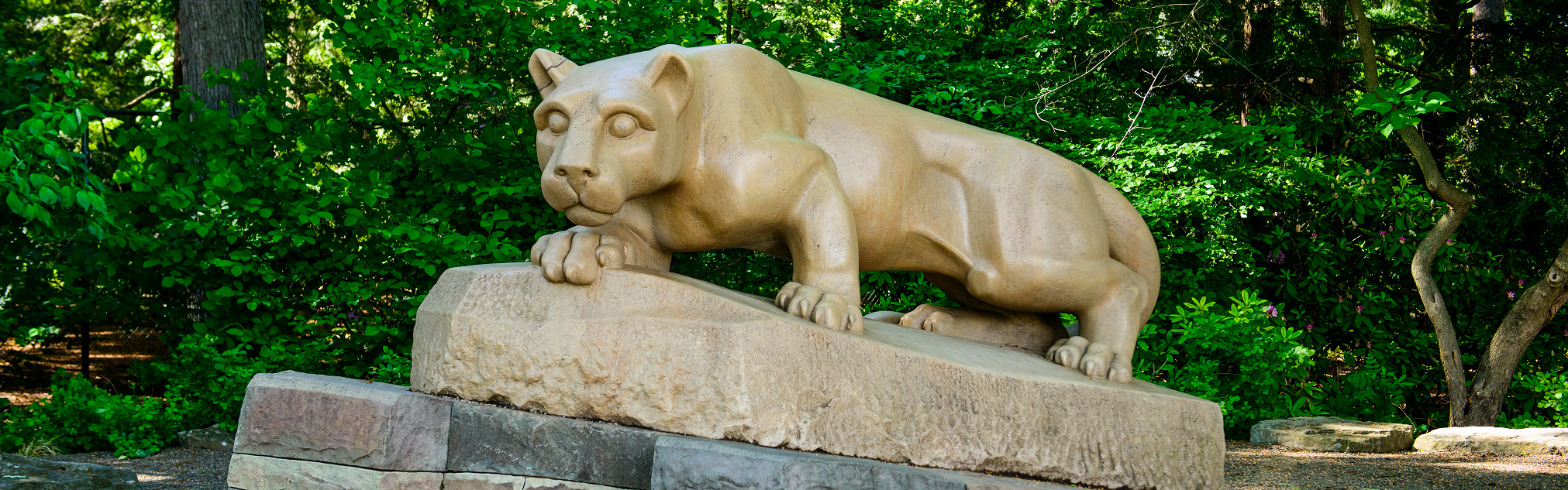 Photograph of the Nittany Lion Statue on Penn State University's University Park Campus